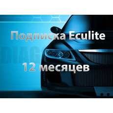 Подписка ECULite на 12 месяцев