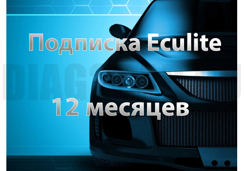 Подписка ECULite на 12 месяцев