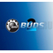 Лицензия BRP BUDS2 Dealer Technician 1 год для техники c 2017г.в. по н.в.